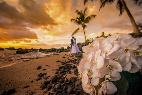 Maui Photography Packages
