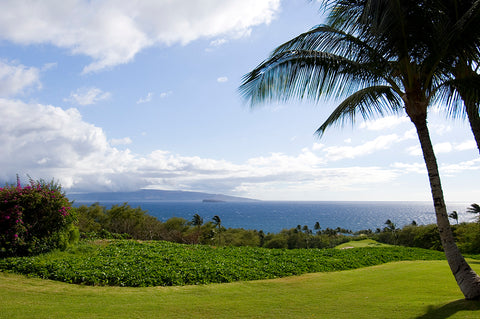 [Maui Elopement & Maui Wedding Photographer Online]-Maui Wedding Photography & Planning Studio, A Paradise Dream Wedding