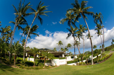 [Maui Elopement & Maui Wedding Photographer Online]-Maui Wedding Photography & Planning Studio, A Paradise Dream Wedding