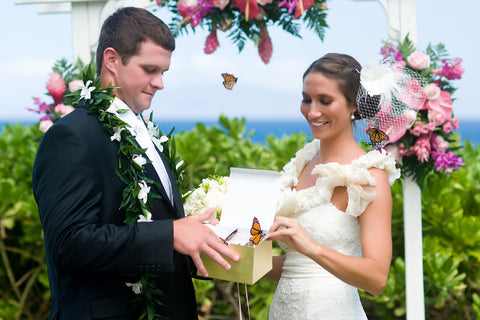 [Maui Elopement & Maui Wedding Photographer Online]-Maui Wedding Photography & Planning Studio, A Paradise Dream Wedding
