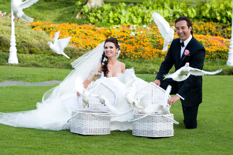 [Maui Elopement & Maui Wedding Photographer Online]-Maui Wedding Photography & Planning Studio, A Paradise Dream Wedding