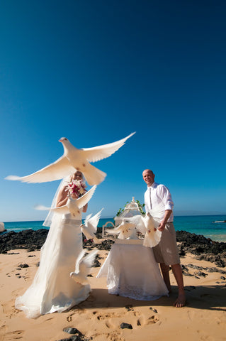 [Maui Elopement & Maui Wedding Photographer Online]-Maui Wedding Photography & Planning Studio, A Paradise Dream Wedding