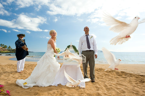 [Maui Elopement & Maui Wedding Photographer Online]-Maui Wedding Photography & Planning Studio, A Paradise Dream Wedding