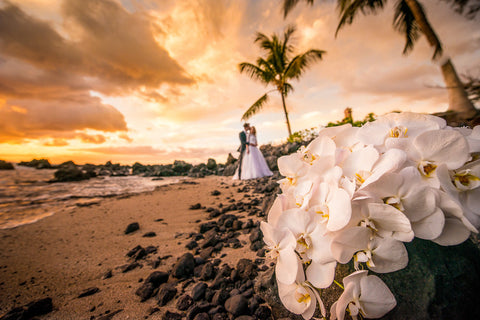 [Maui Elopement & Maui Wedding Photographer Online]-Maui Wedding Photography & Planning Studio, A Paradise Dream Wedding