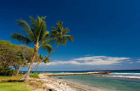 [Maui Elopement & Maui Wedding Photographer Online]-Maui Wedding Photography & Planning Studio, A Paradise Dream Wedding