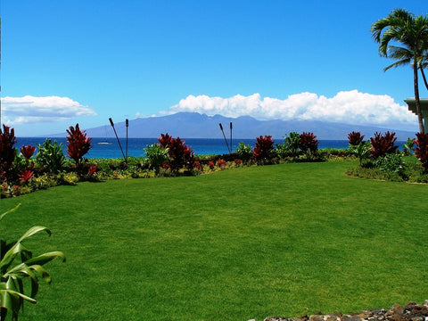 [Maui Elopement & Maui Wedding Photographer Online]-Maui Wedding Photography & Planning Studio, A Paradise Dream Wedding