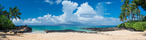 [Maui Elopement & Maui Wedding Photographer Online]-Maui Wedding Photography & Planning Studio, A Paradise Dream Wedding