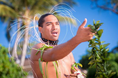 [Maui Elopement & Maui Wedding Photographer Online]-Maui Wedding Photography & Planning Studio, A Paradise Dream Wedding