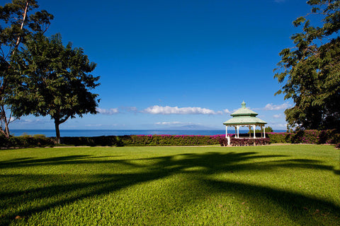 [Maui Elopement & Maui Wedding Photographer Online]-Maui Wedding Photography & Planning Studio, A Paradise Dream Wedding